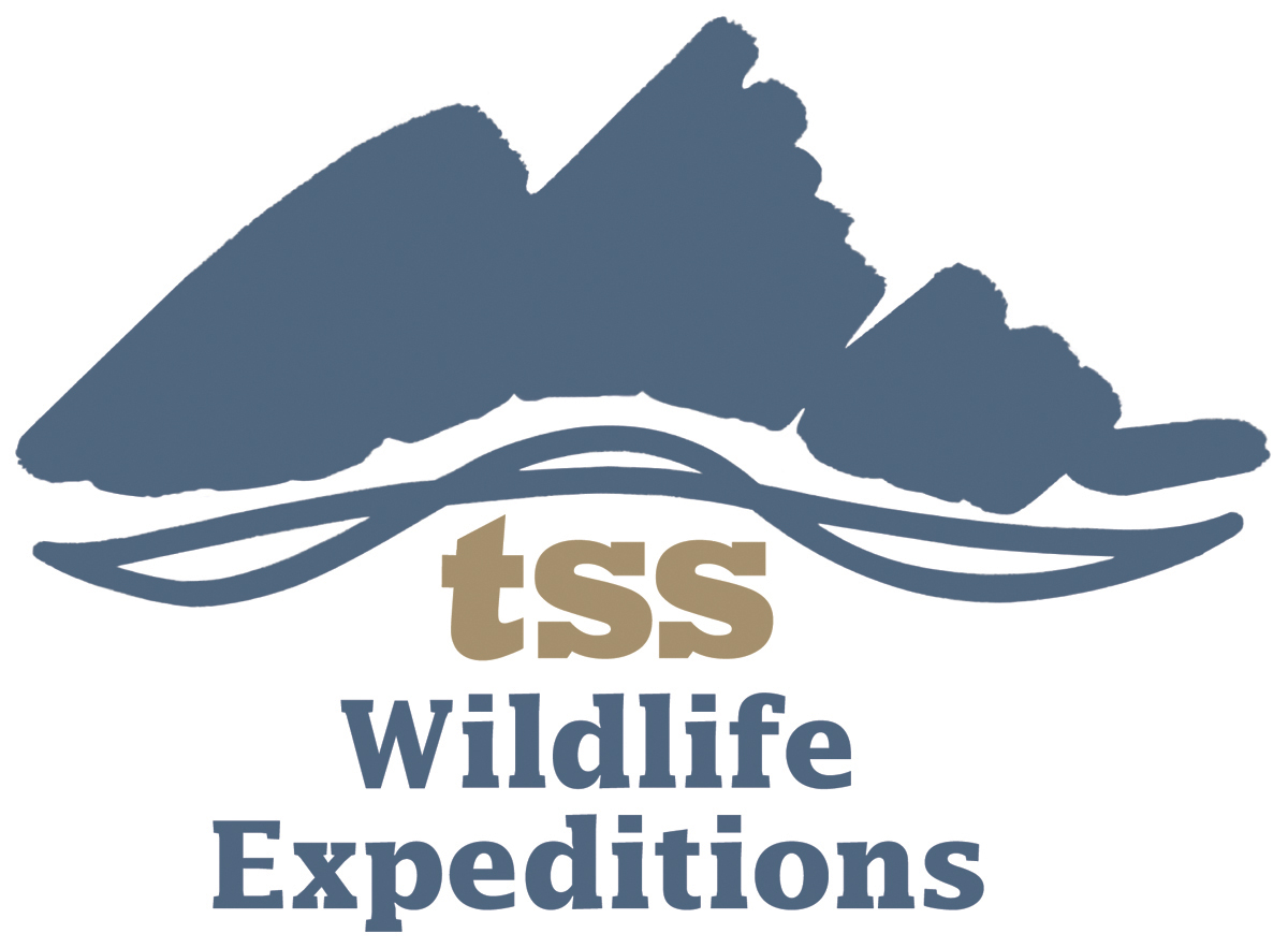 Teton Village District Offices